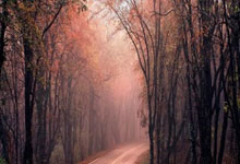 南宫28:吉鲁含泪演讲:大家知道我对法国的热爱,很幸运能经历这一切.