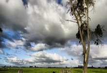 南宫28:安德里希:球队在比赛的每个阶段都处于下风,我们活该被淘汰.