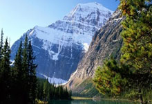 南宫28：阿森纳官方分享女足图集庆祝晋级欧冠四强：2251.